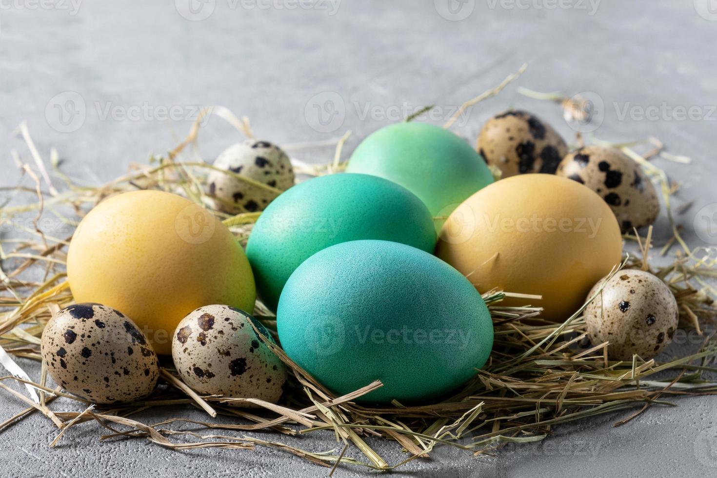 Stylized bird's nest with quail and painted chicken eggs. photo
