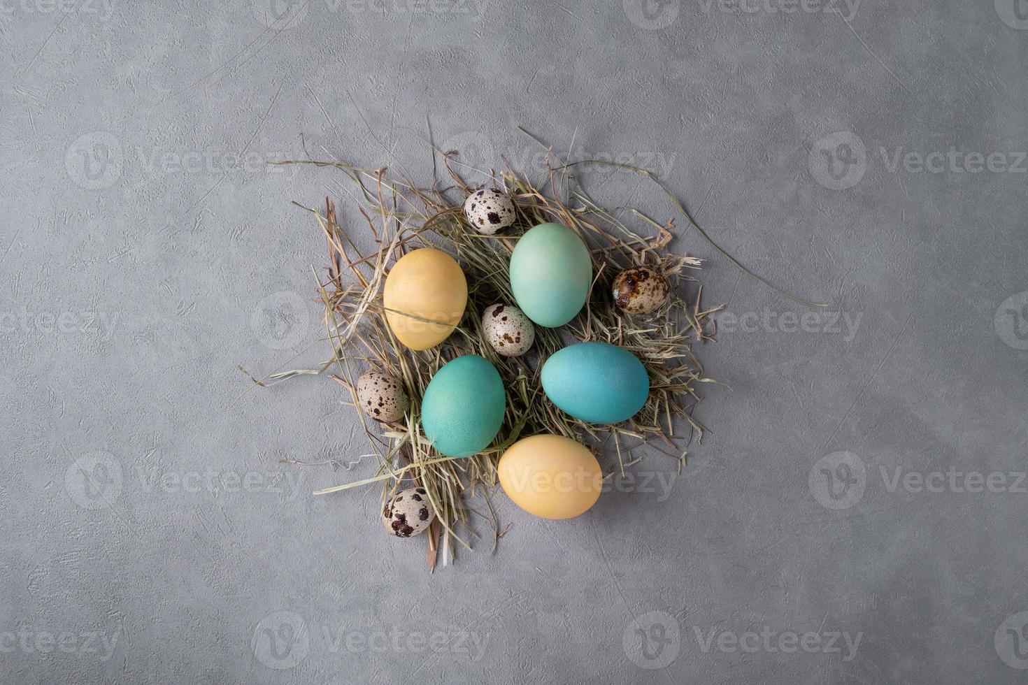 Stylized bird's nest with quail and painted yellow and turquoise chicken eggs photo