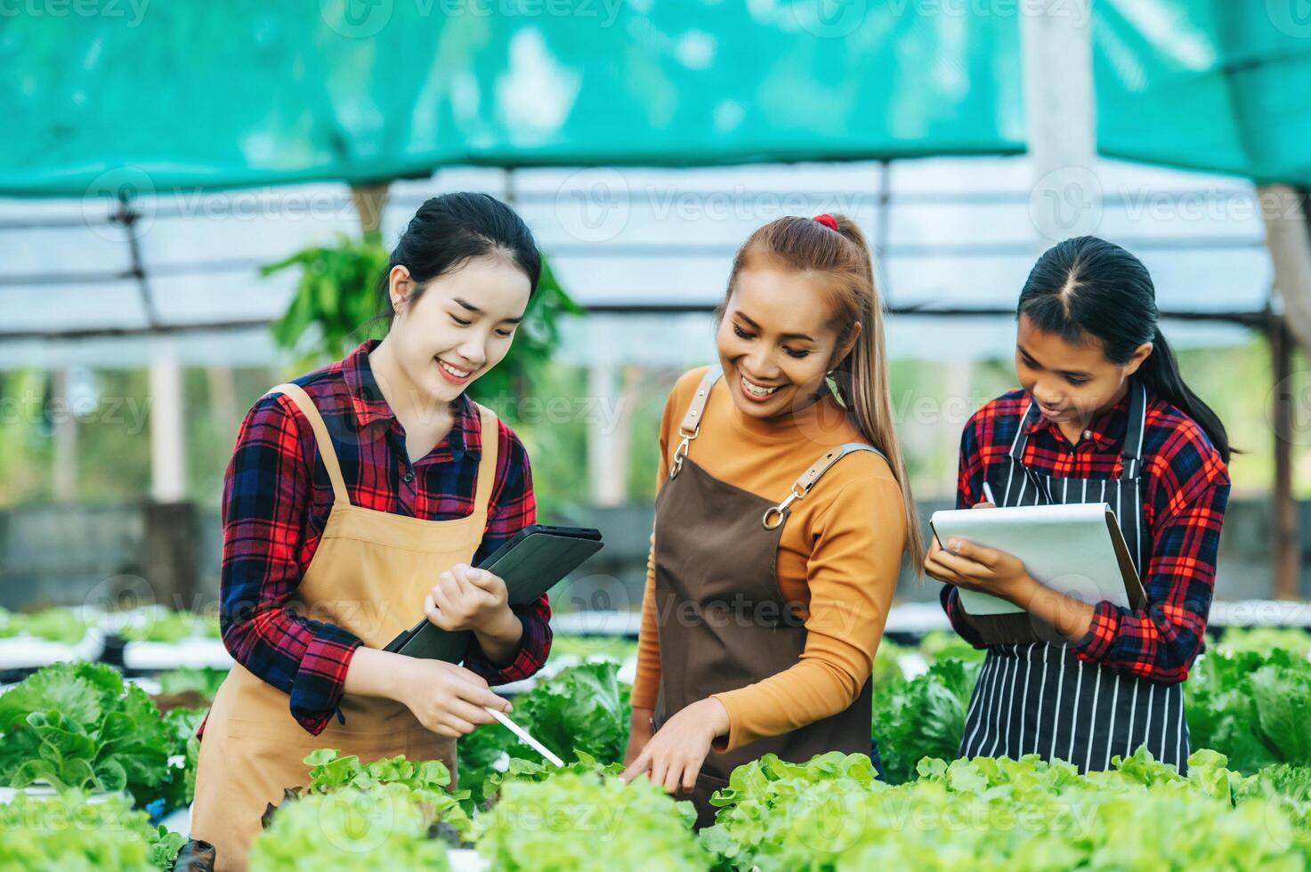 Portrait of Happy Young Asian girls farmer checking fresh green oak lettuce salad, organic hydroponic vegetable in nursery farm. Business and organic hydroponic vegetable concept. photo