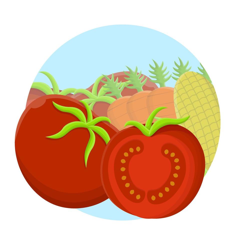 Tomato Fresh Vegetable Icon Vector