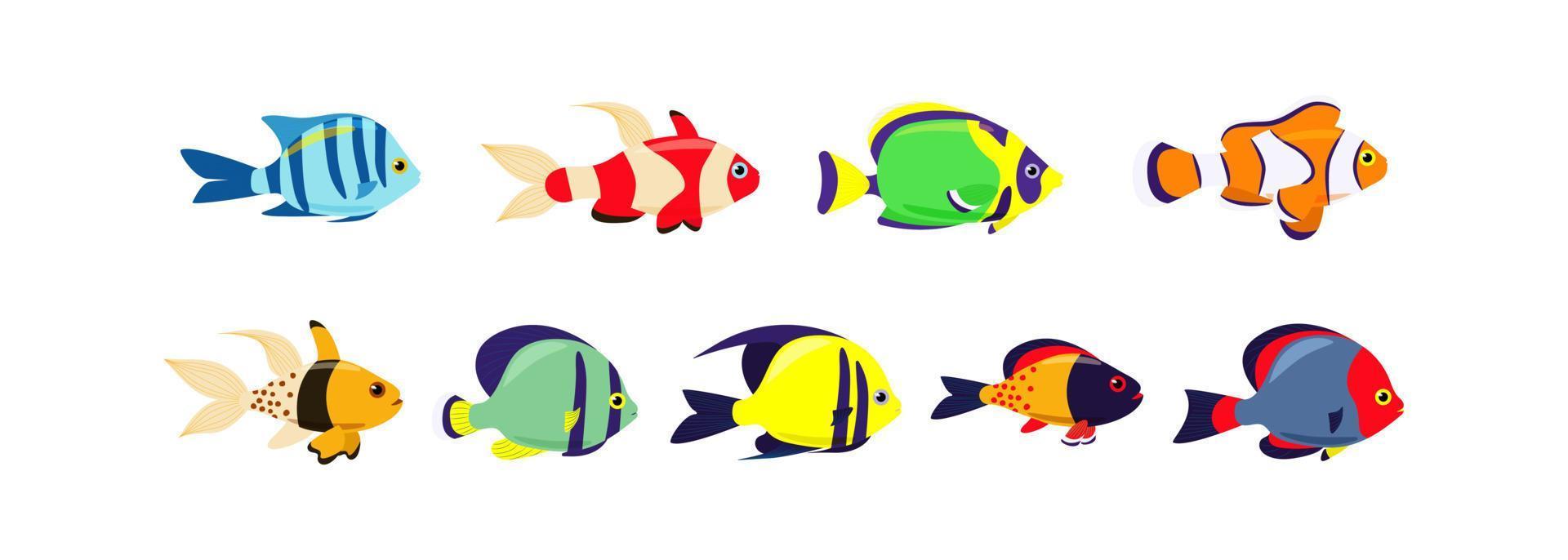 Set of marine exotic fishes on a white background. Collection Aquarium vector fish isolates. Sea fish. Vector illustration