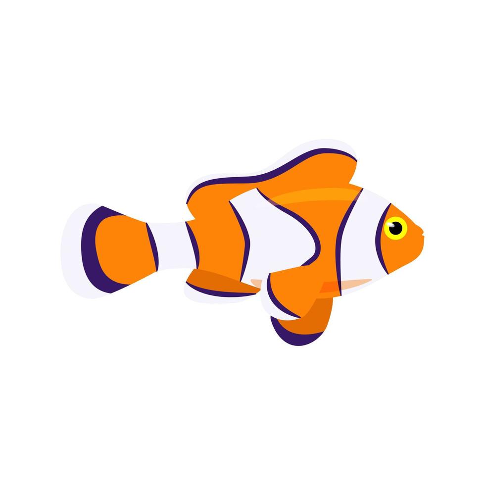 Decorative marine fish orange with white stripes. Vector marine fish isolated on white background.