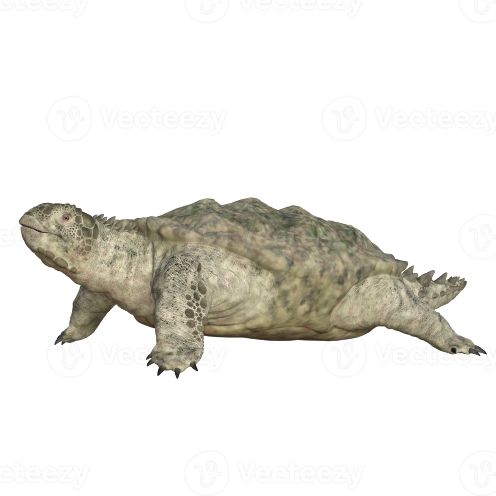 proganochelys isolado 3d render png