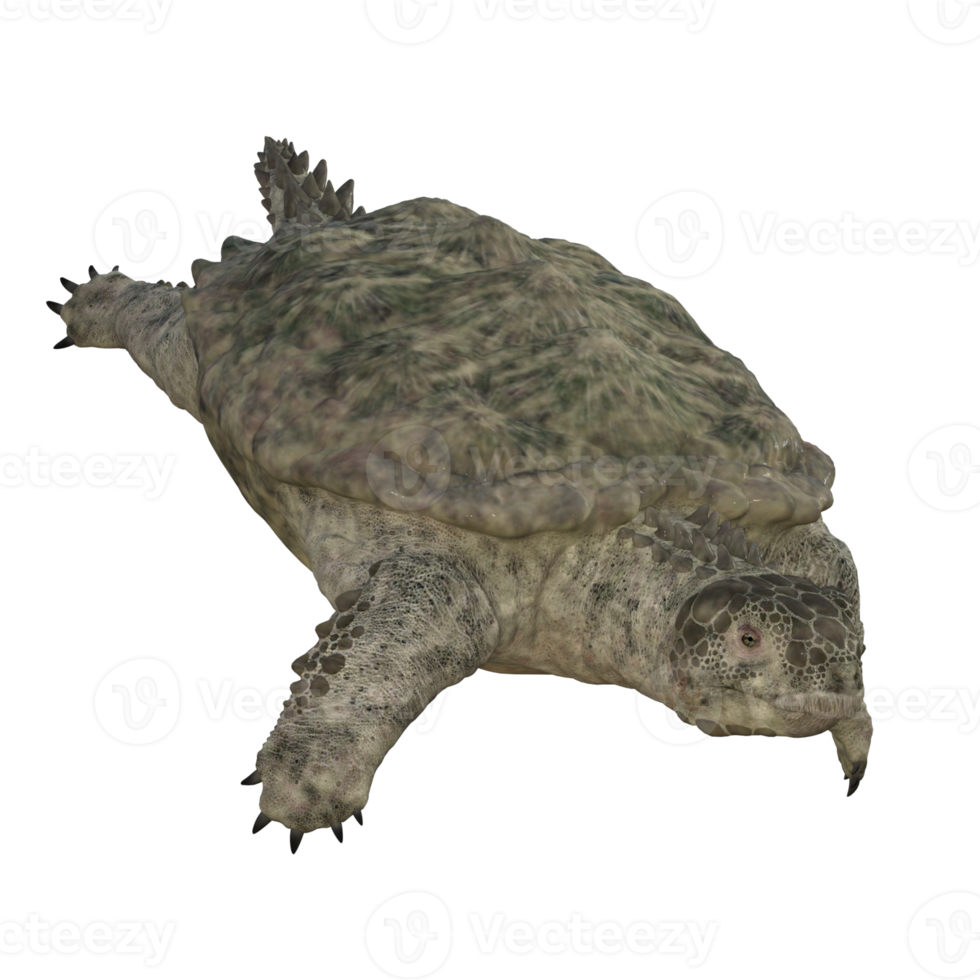 Proganochelys isolated 3D render png