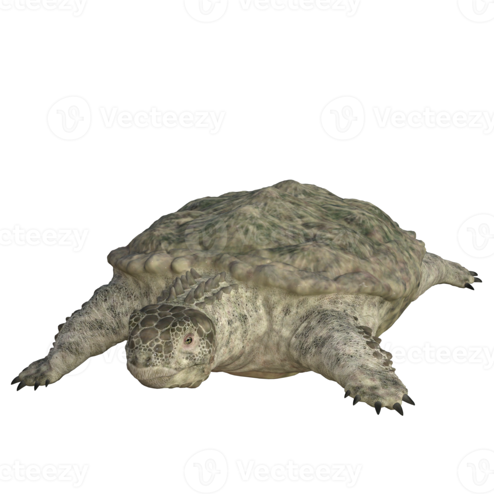 proganochelys isolé 3d rendre png