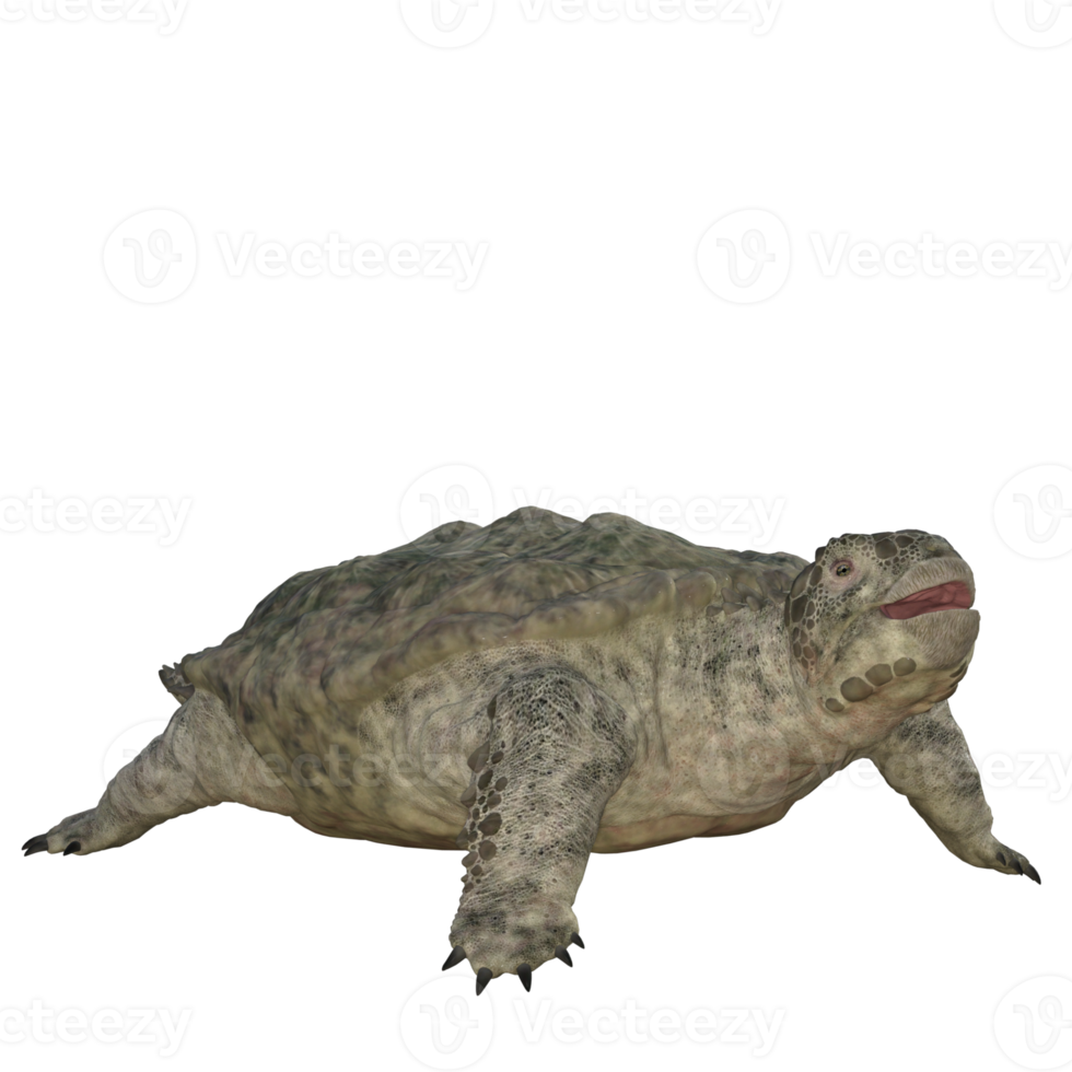 Proganochelys isolated 3D render png