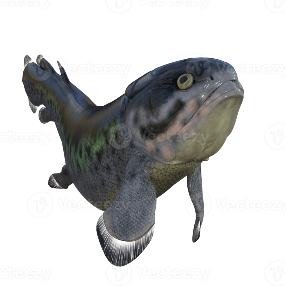 rizodus pescado cola aislado 3d hacer png