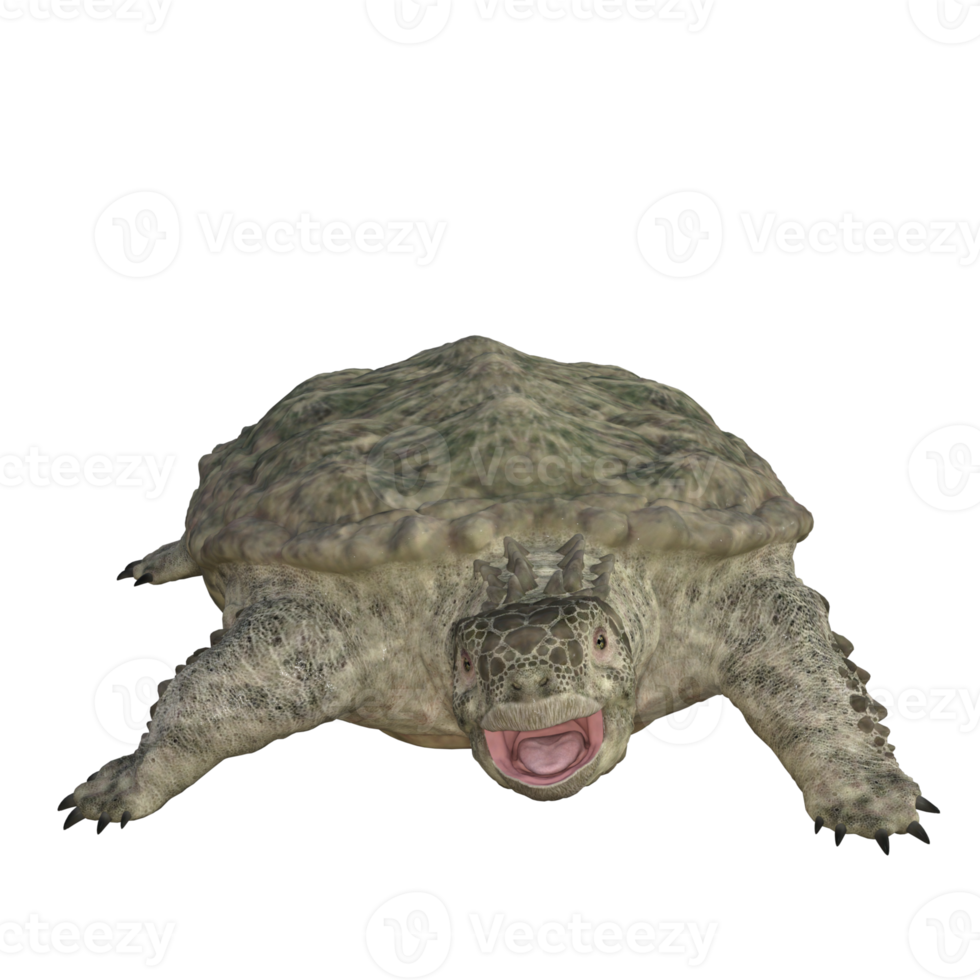 Proganochelys isolated 3D render png