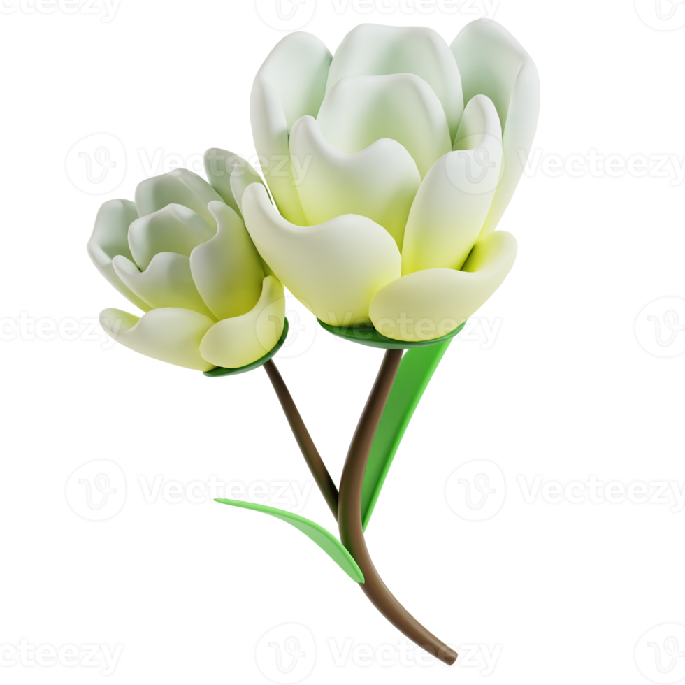 3D Tulip Flower png