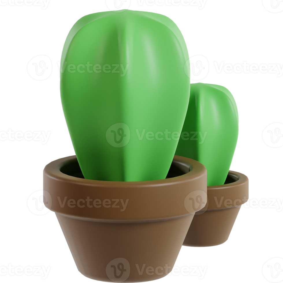 3D Cactus Plant png