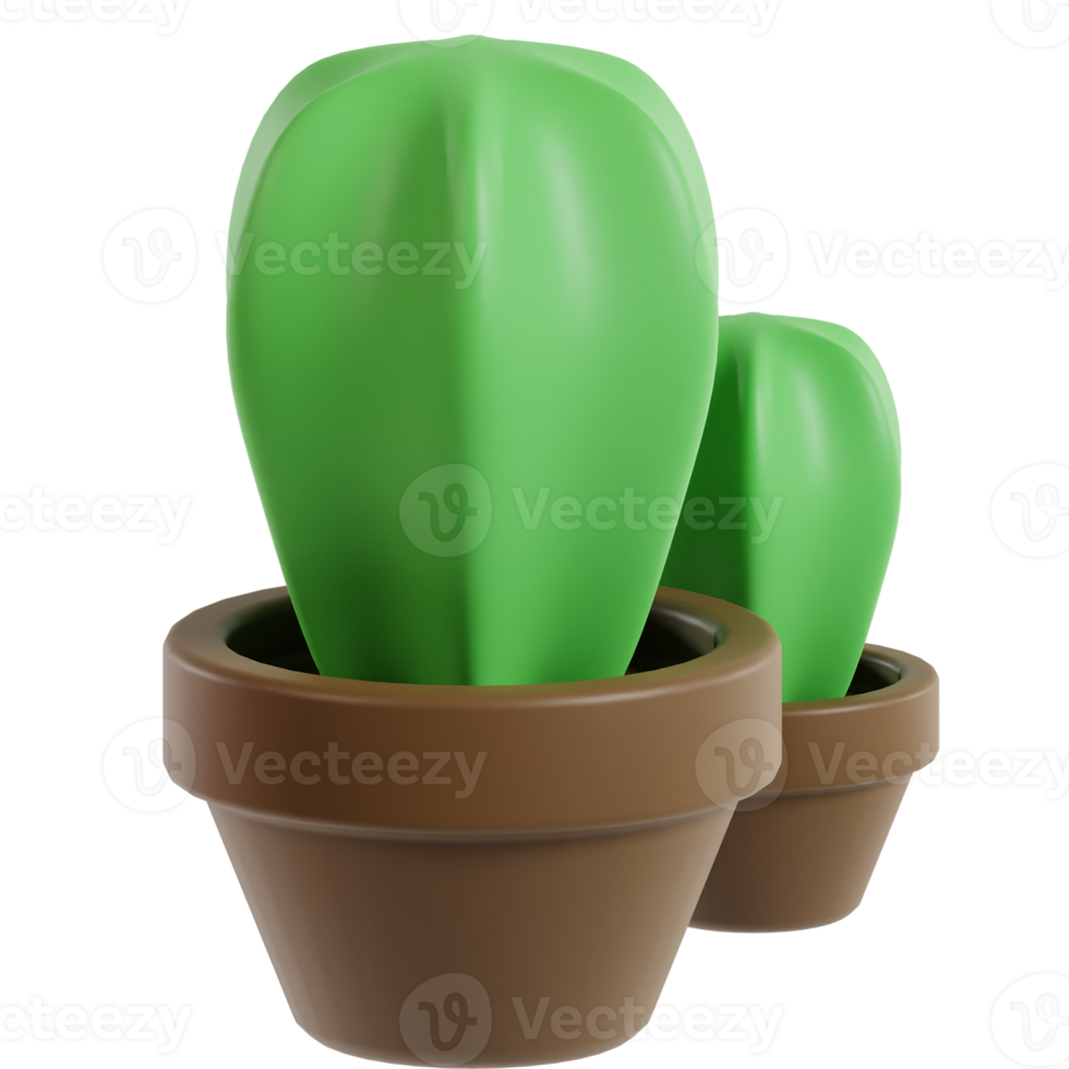 3d cacto plantar png