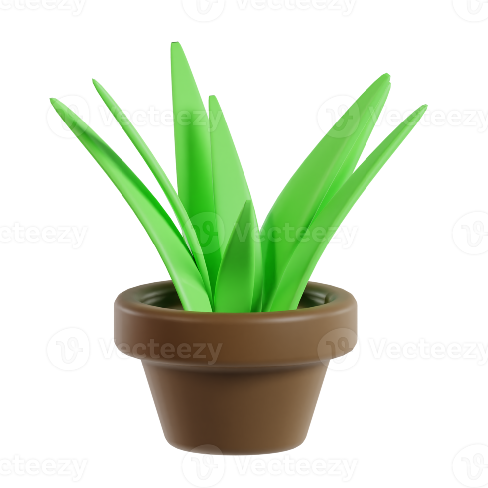 3D Leaf Plant png