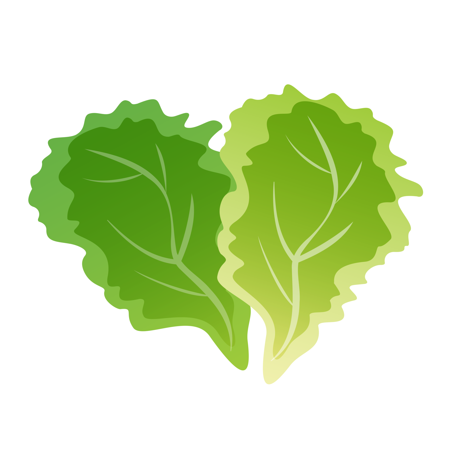 Free Fresh green leaf lettuce isolated illustration 20038189 PNG with