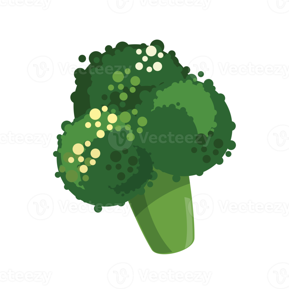 green broccoli healthy plant png