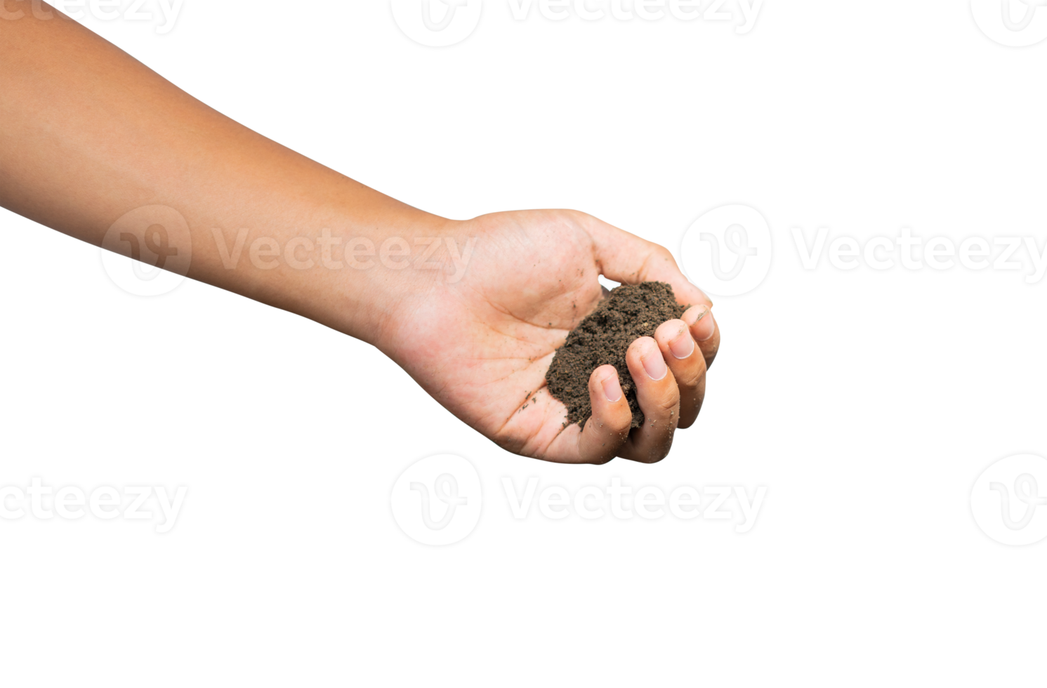 hands holding a dirt png