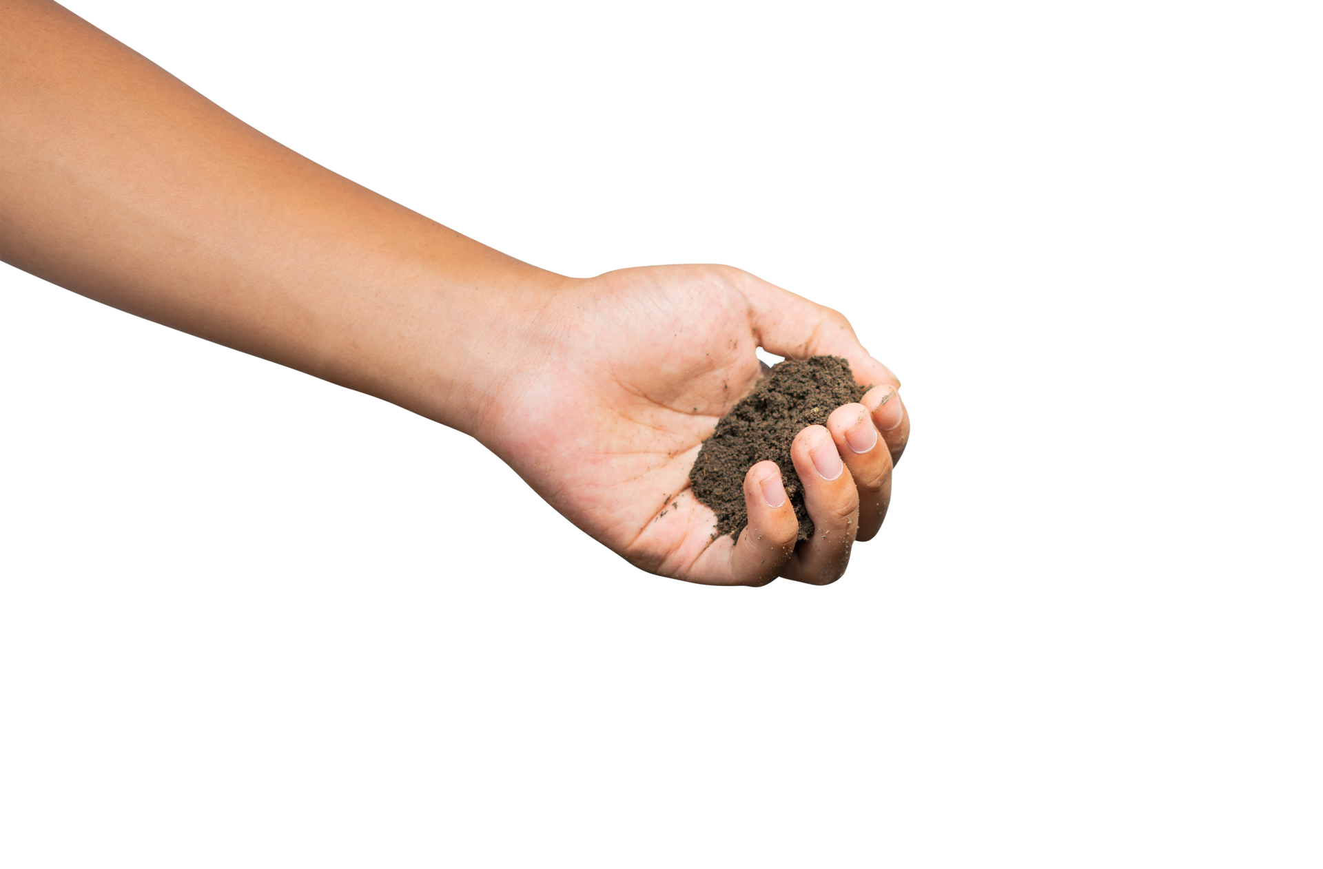 Free hands holding a dirt 20038712 PNG with Transparent Background