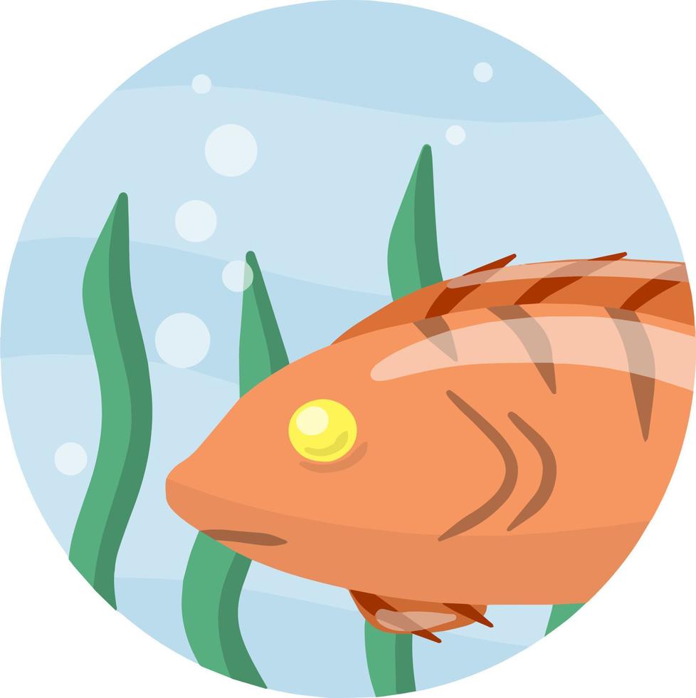 Underwater life. Water with algae. Wildlife and aquarium. Element of fishing. Cartoon flat illustration vector