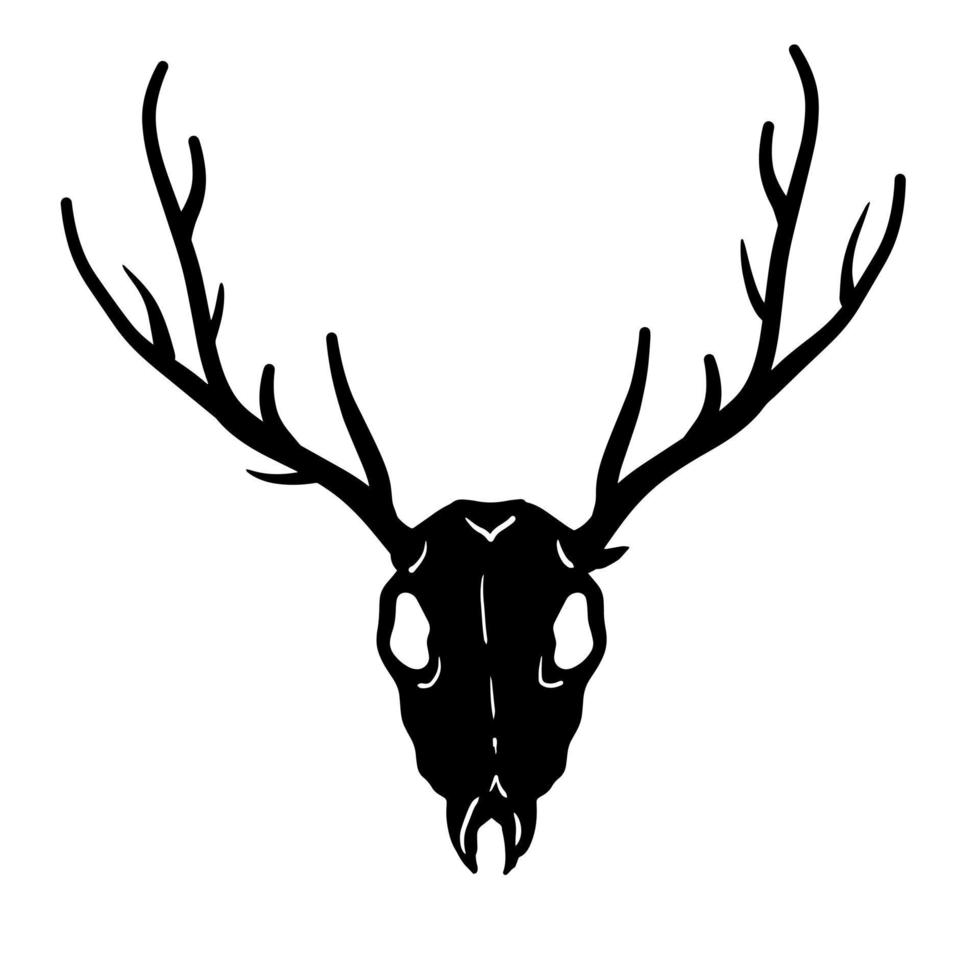 Skull of deer. Hunting trophy with horns. Antler of stag or reindeer. Scary black and white drawing for Halloween. Cartoon illustration isolated on white vector