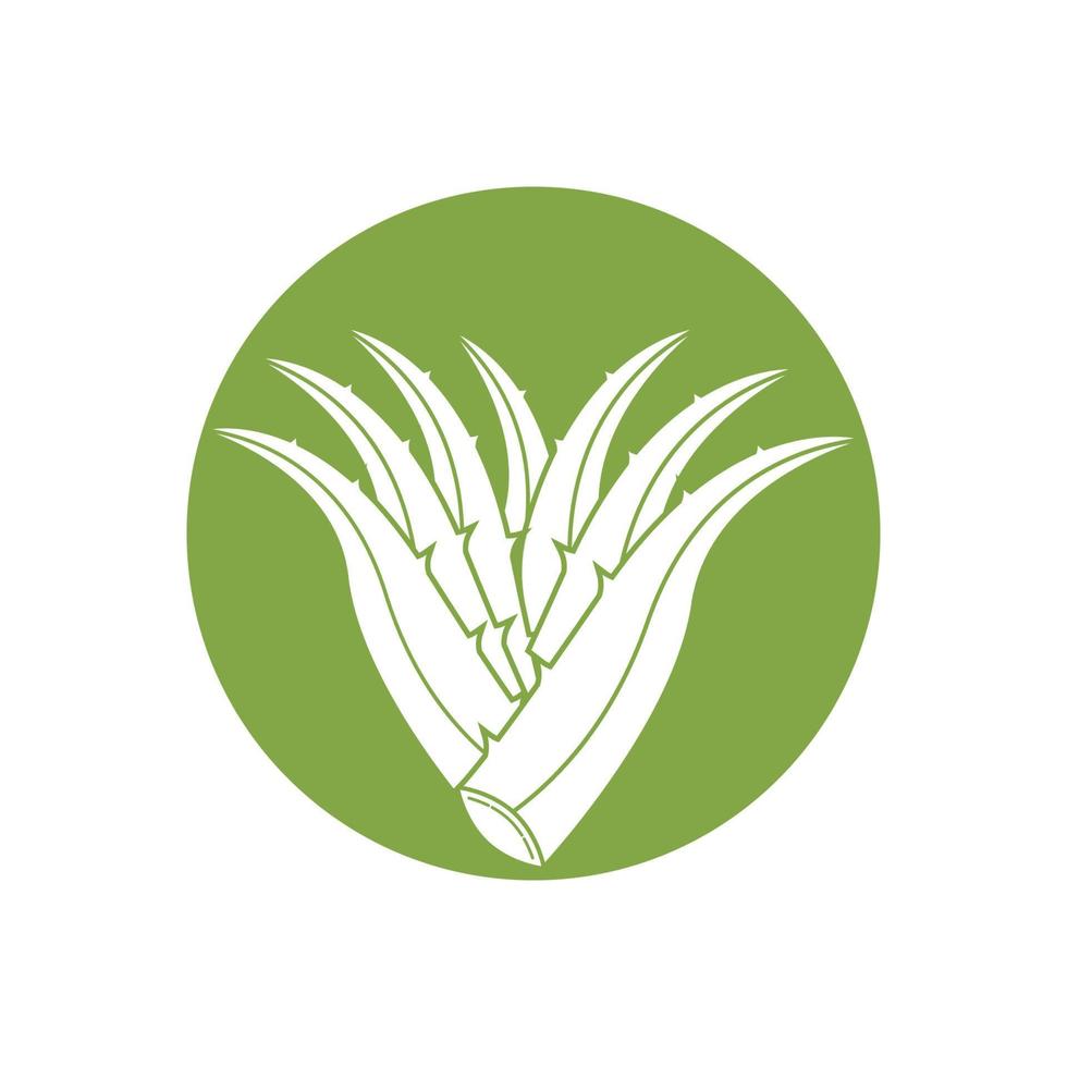 Aloe Vera logo icon design symbol beauty vector