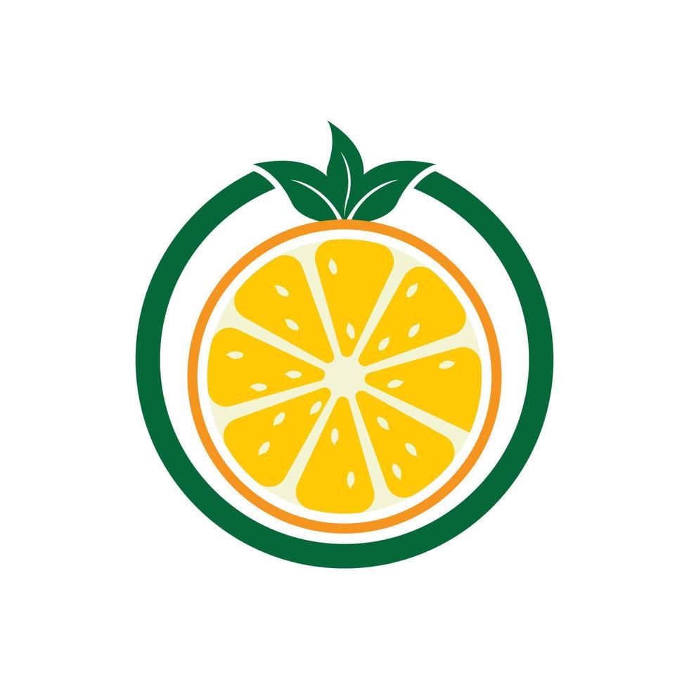 Orange logo design vector icon