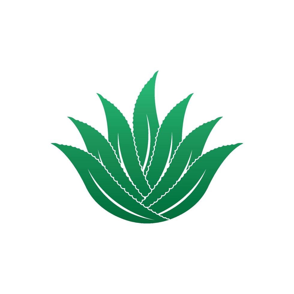 Aloe Vera logo icon design symbol beauty vector