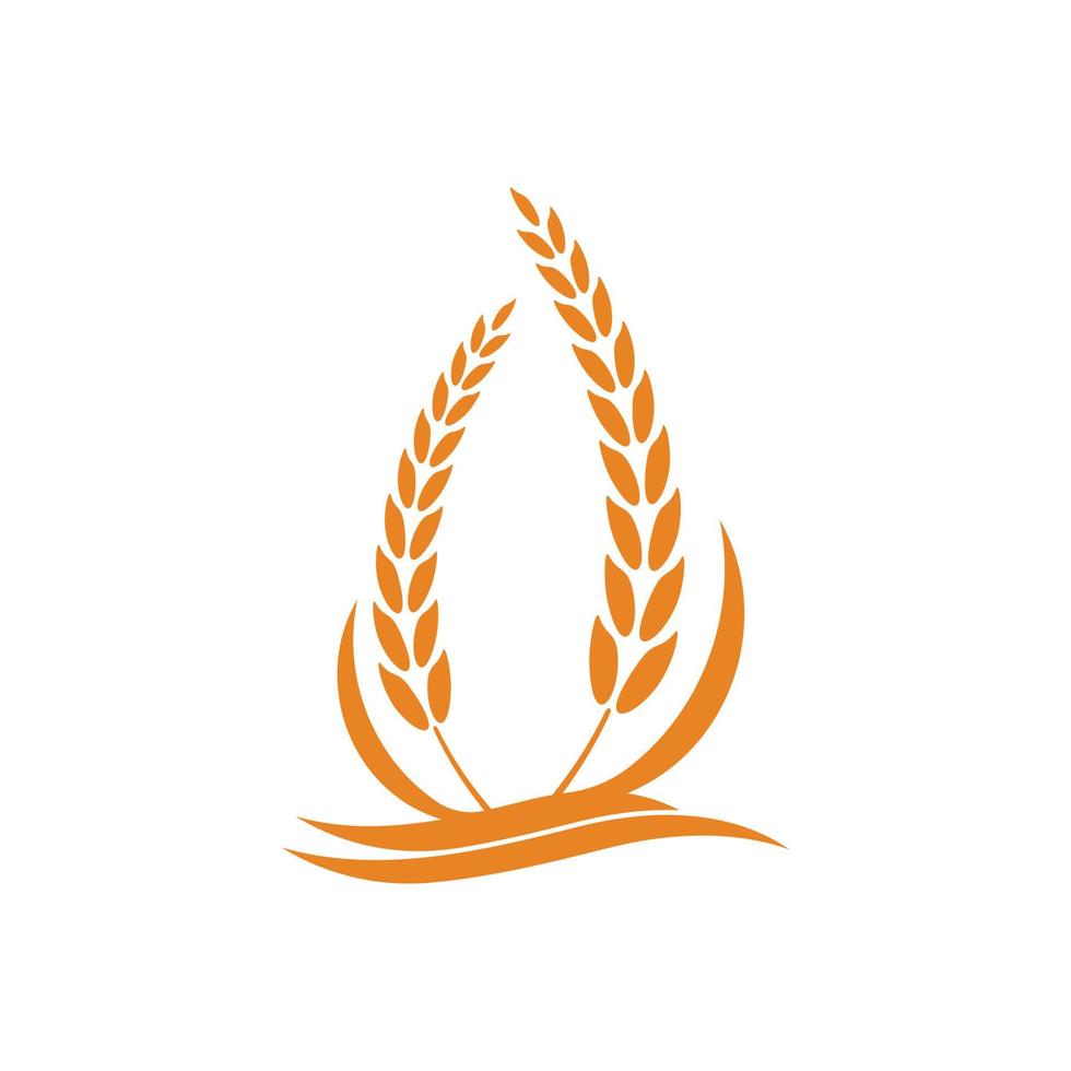 Wheat logo vector icon illustration