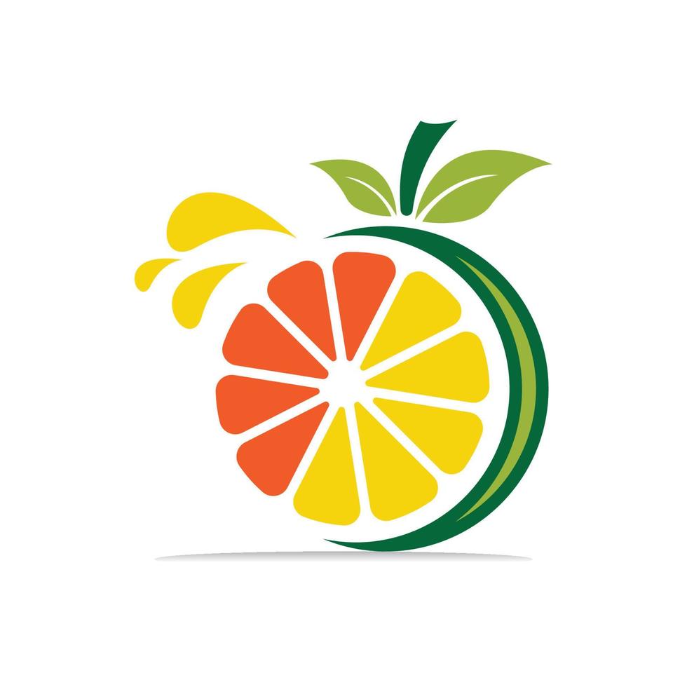 Orange logo design vector icon