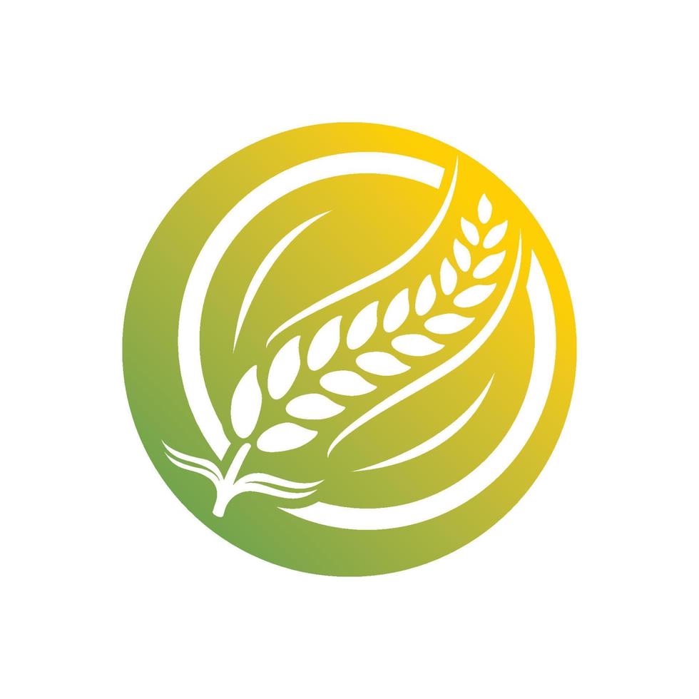 Wheat logo vector icon illustration