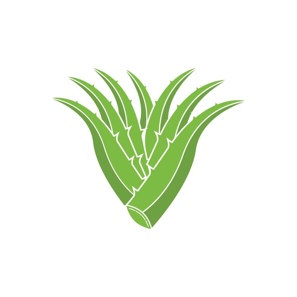 Aloe Vera logo icon design symbol beauty vector