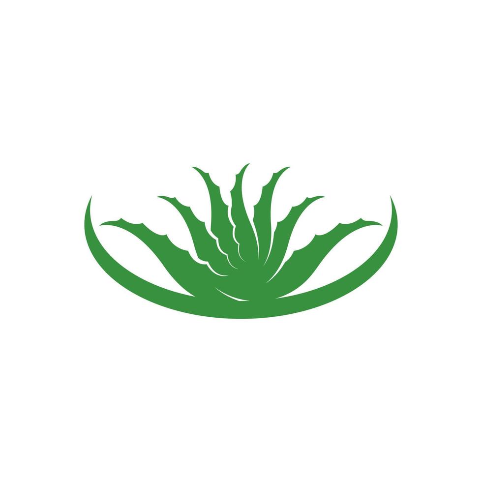 Aloe Vera logo icon design symbol beauty vector