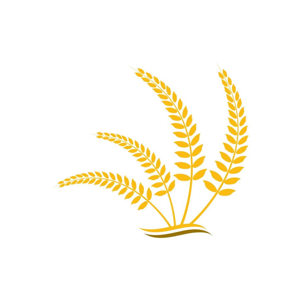 Wheat logo vector icon illustration