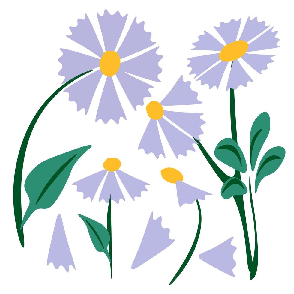 flor silvestre vistoso retro 70s Años 80 90s botánico diseño floral ilustración de margaritas.primavera flores decoración vector planta Arte.