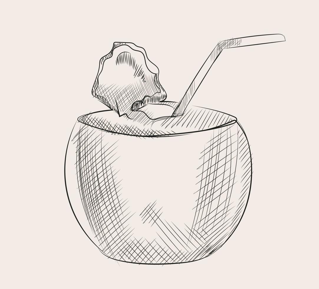 Hand drawn Drawing juice in coconut vector,Nariyal pani vector