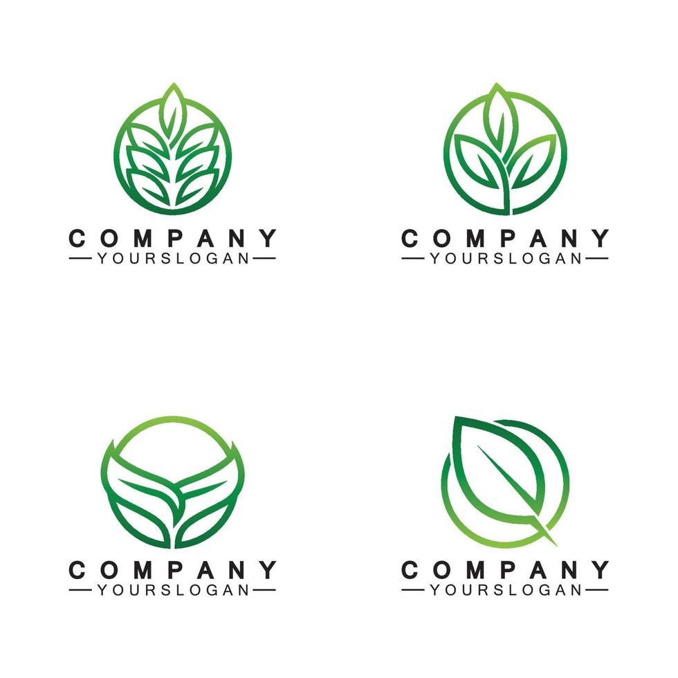 Simple leaf logo inside circle with minimal line art design style vector