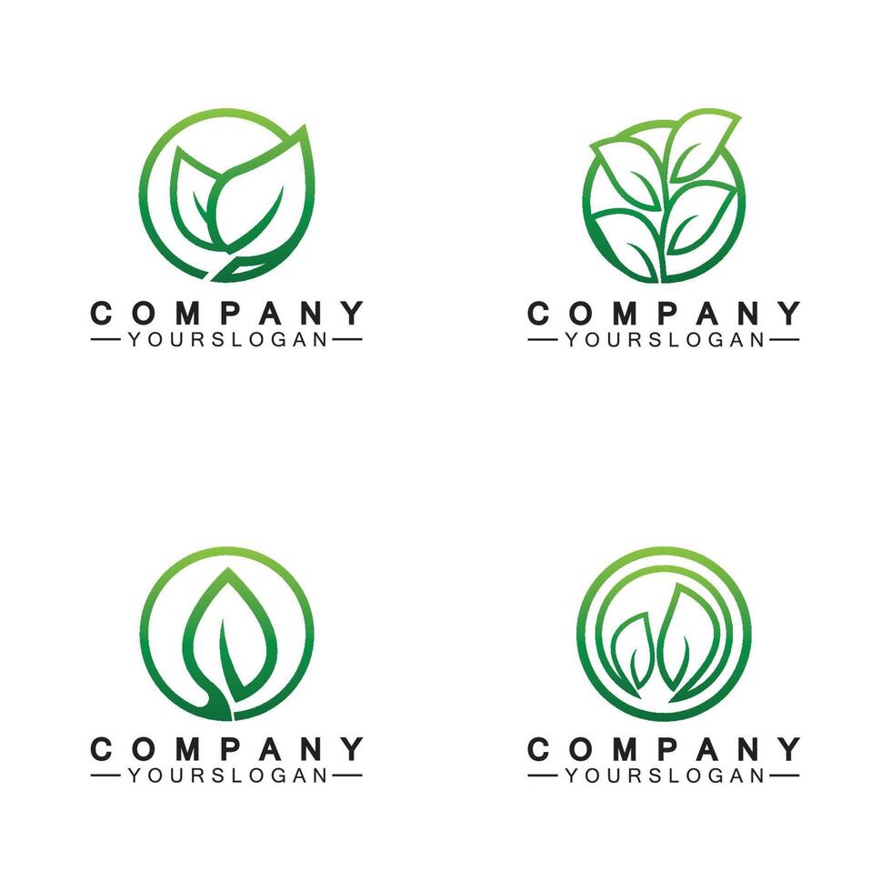 Simple leaf logo inside circle with minimal line art design style vector