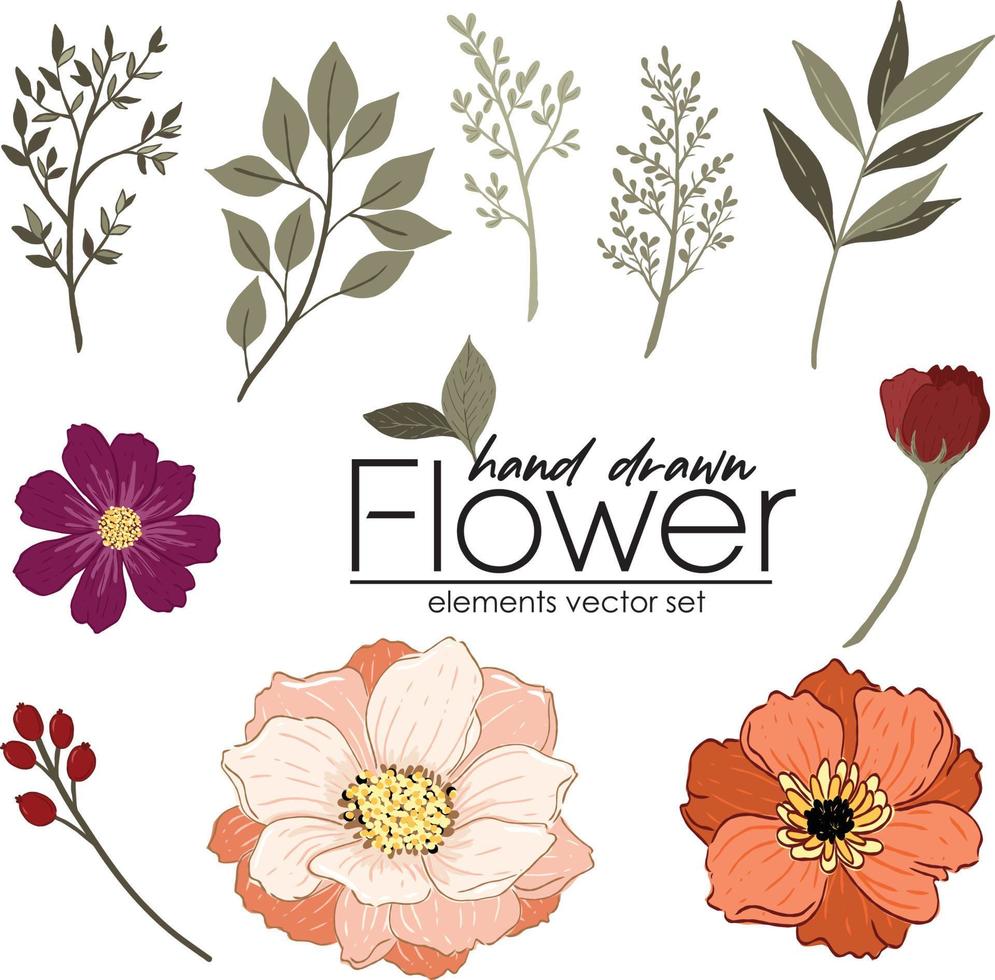 vector set of hand drawn  flower and leave