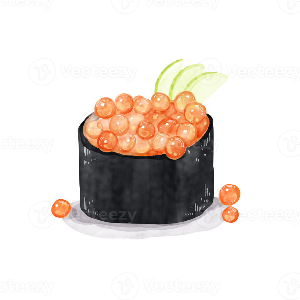 acquerello Sushi uovo png