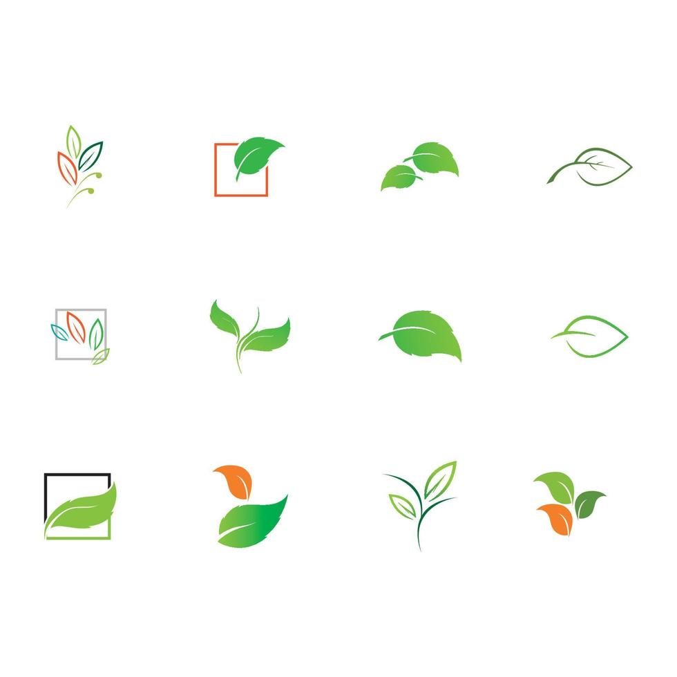 nature of leaves logo vector