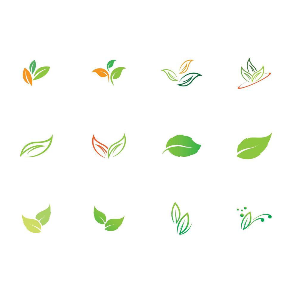 naturaleza de hojas logo vector