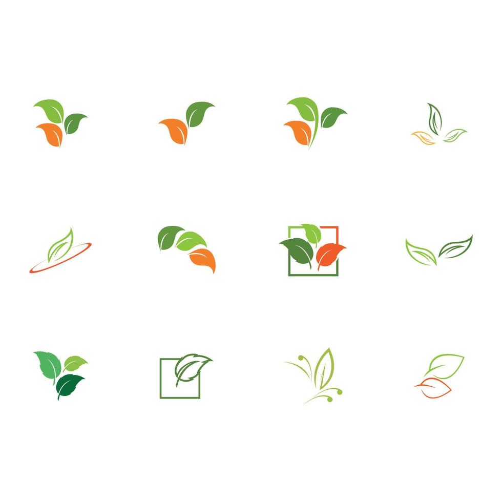 nature of leaves logo vector