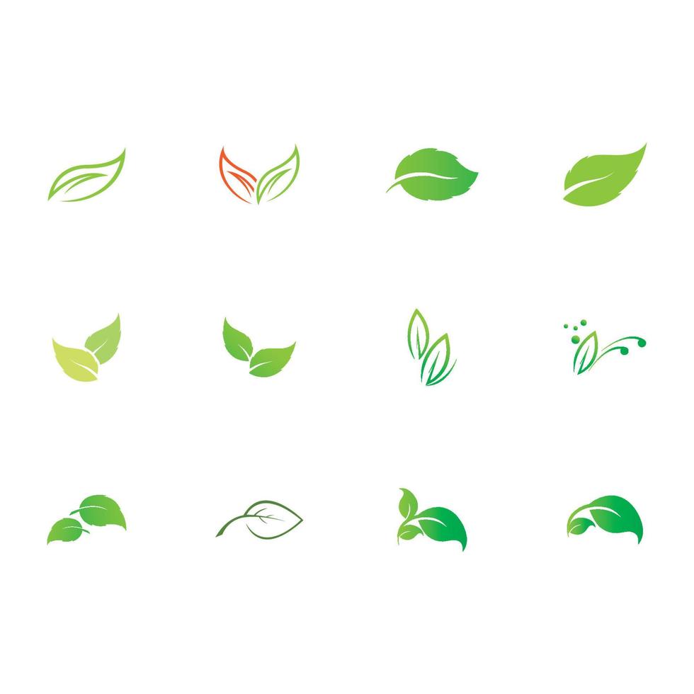 naturaleza de hojas logo vector