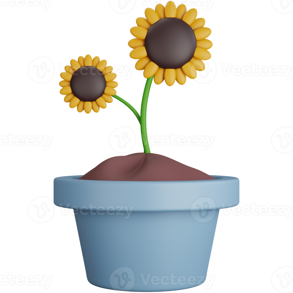 3D Rendering Two Sunflowers In A Pot Isolated png