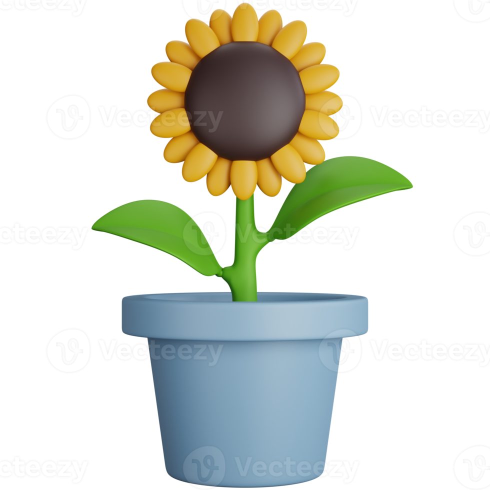 3D Rendering Sunflower With Gray Pot Isolated png