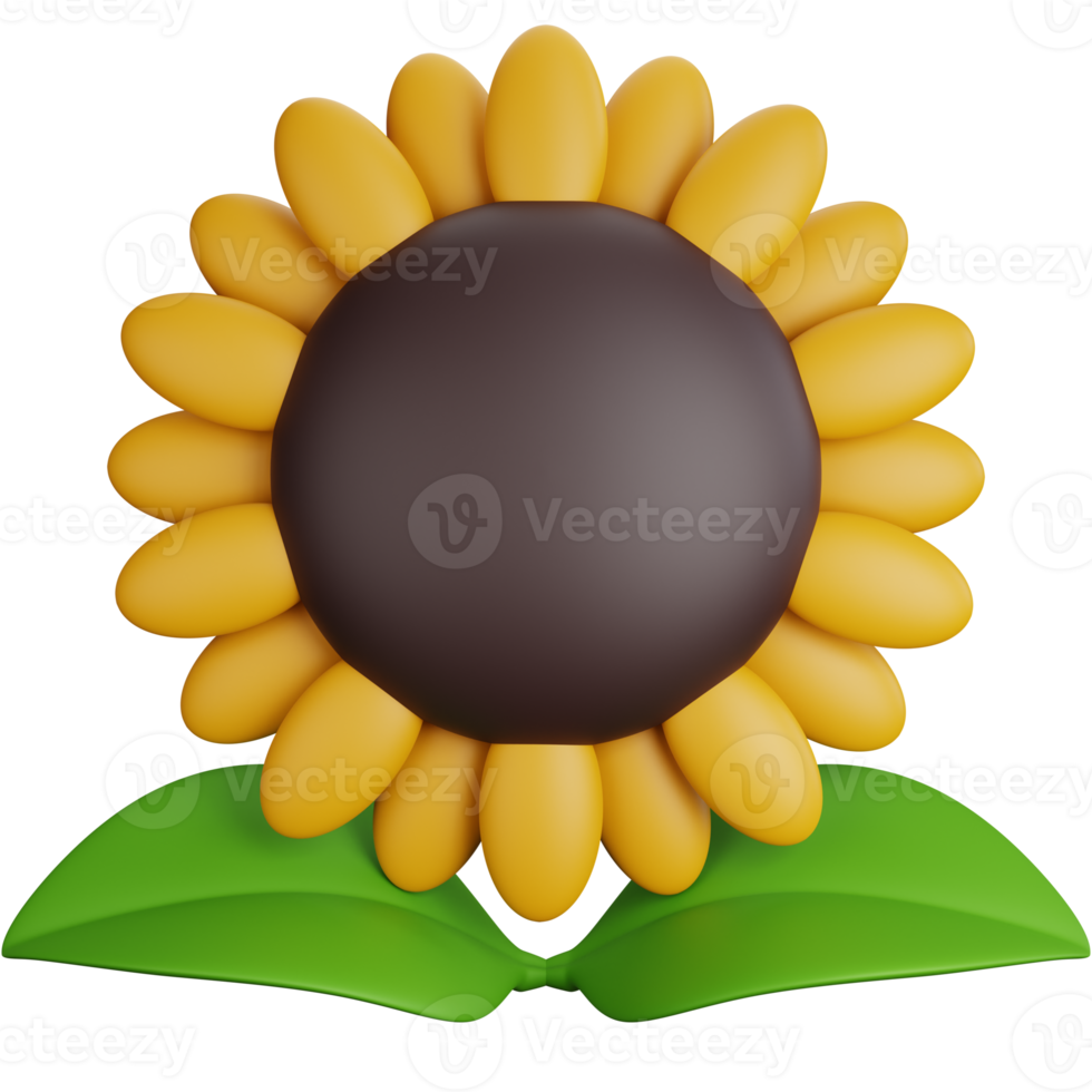 3D Rendering Sunflower with two leaves Isolated png