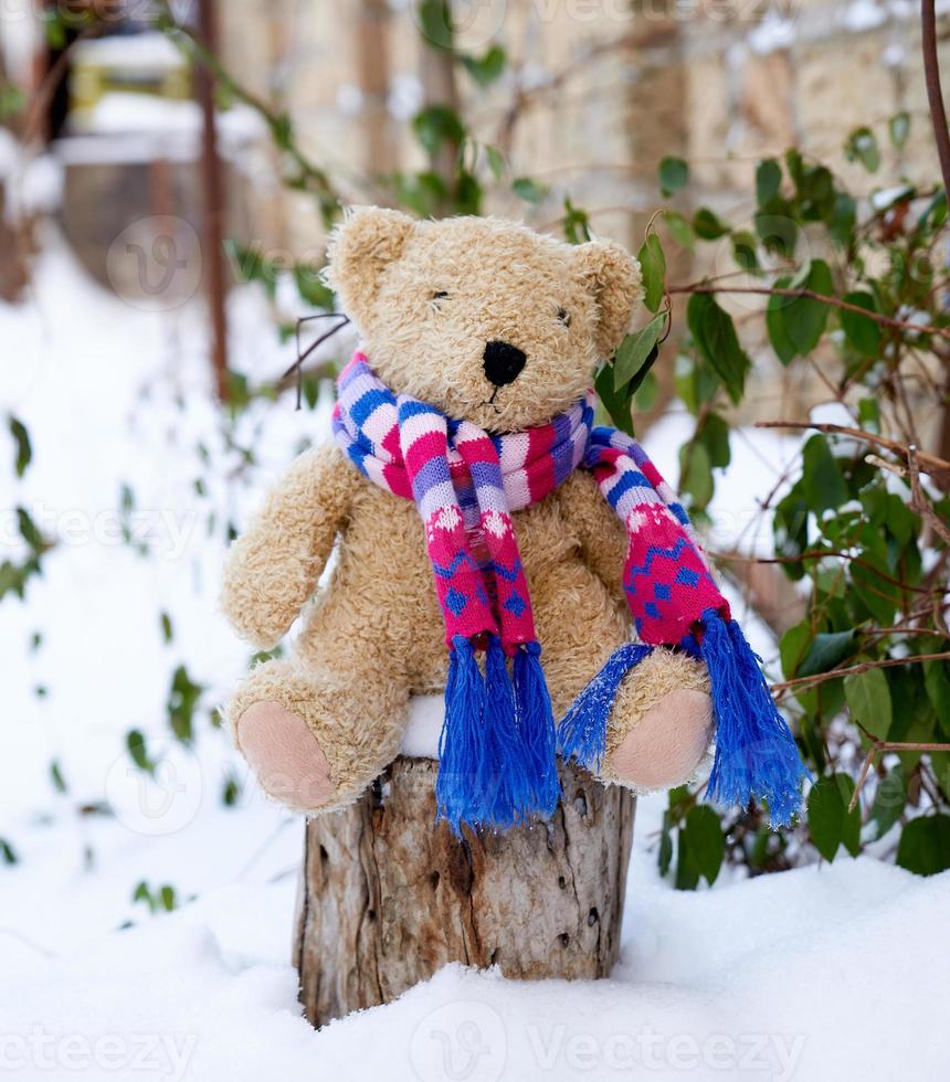 Brown childrens soft toy bear in a bright knitted scarf sitting on a stump photo
