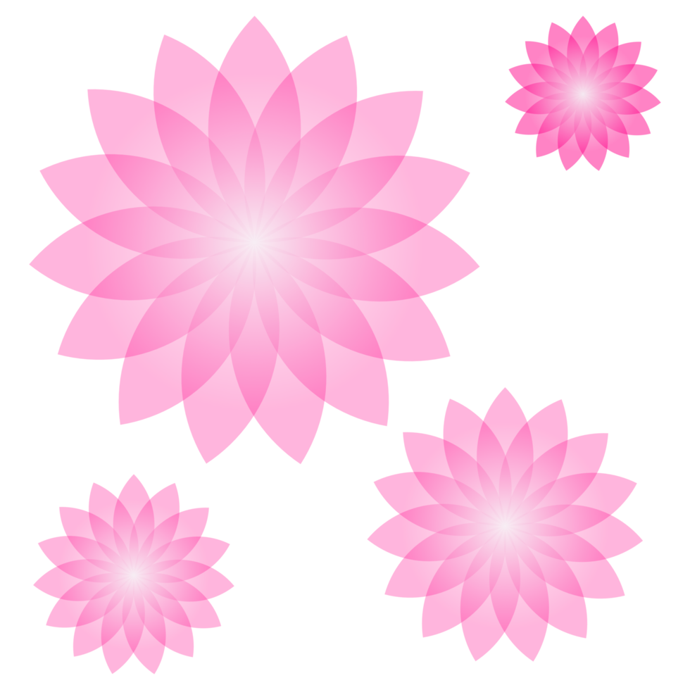 a florescendo Rosa lótus png