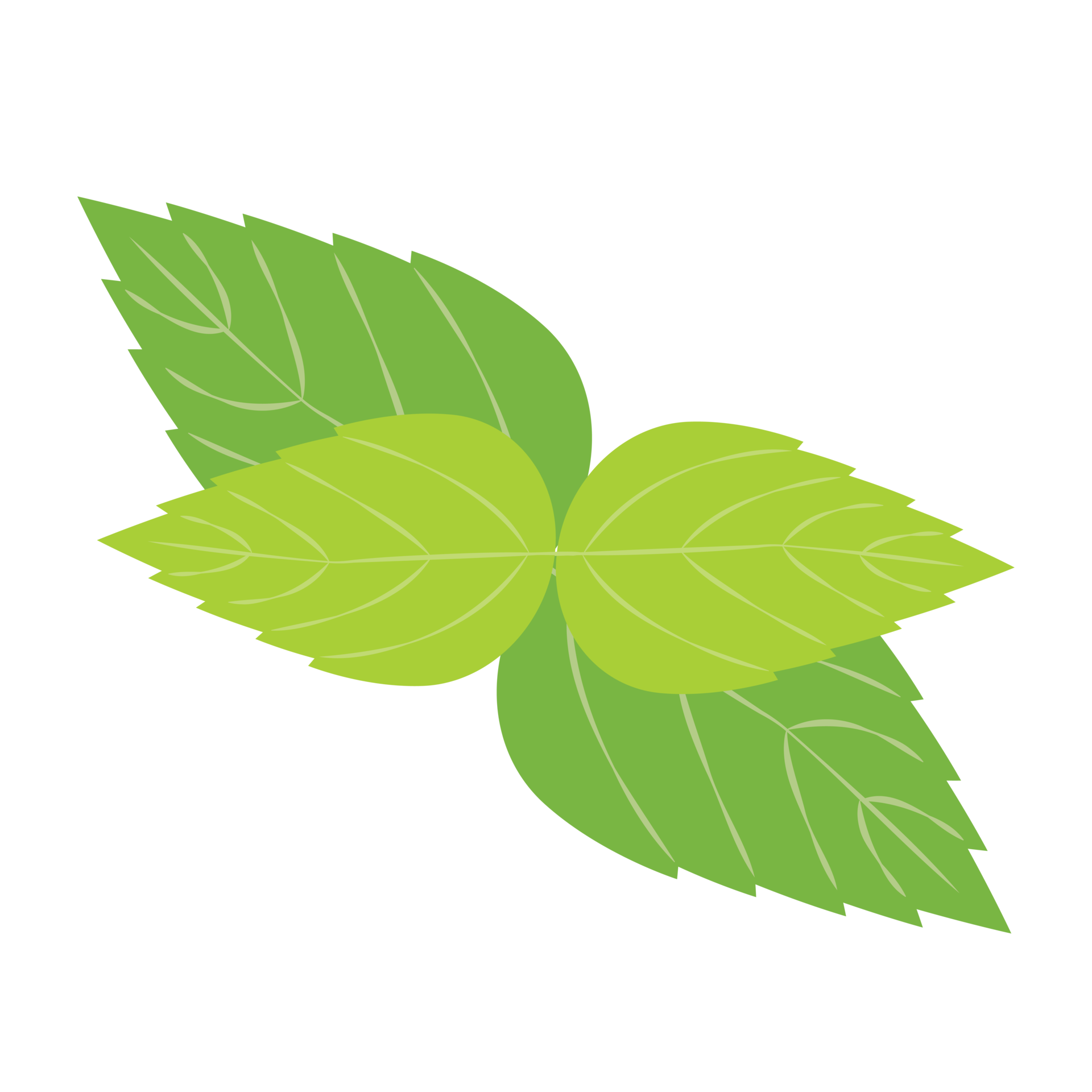 Mint leaf. peppermint green leaves 20047303 PNG