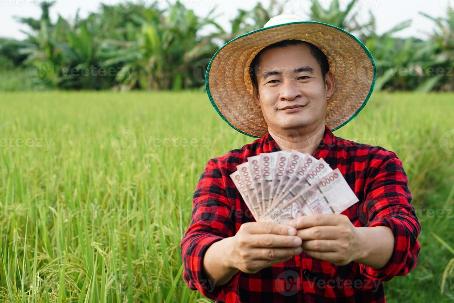 Premium Photo  Thailand banknote money on rice paddy background