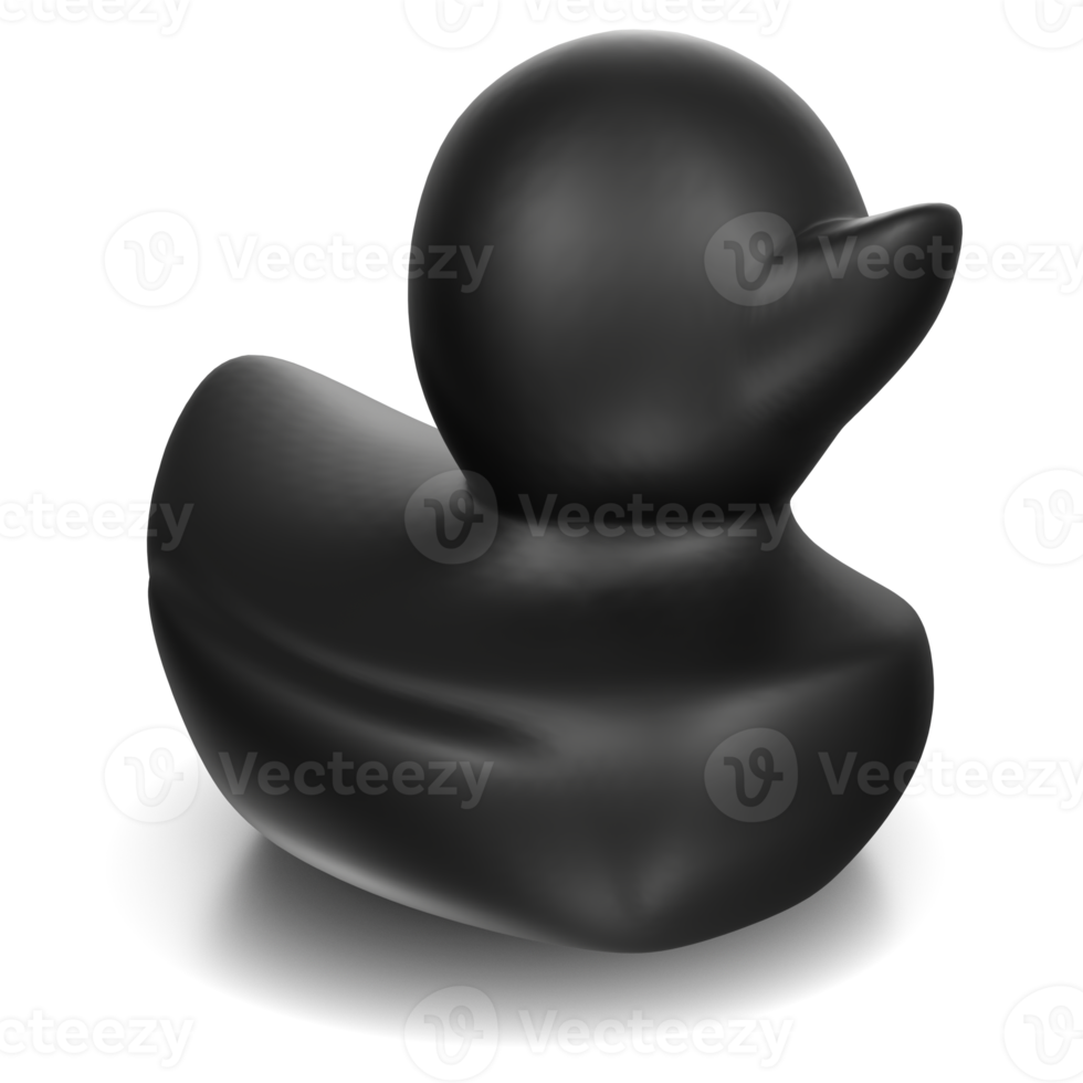 Black duck isolated on transparent png