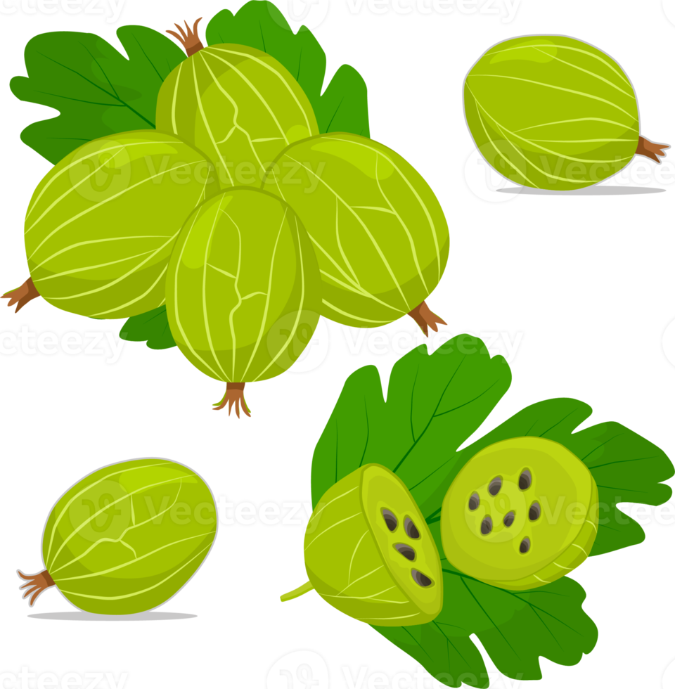 Sweet juicy tasty natural eco product gooseberry png